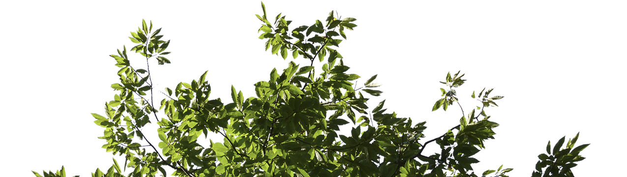 Decorative Tree Mobile